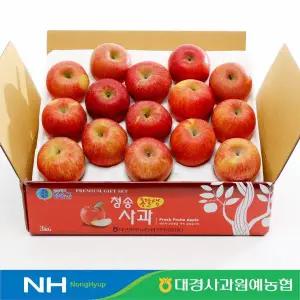 [대경사과원예농협]청송 정품 부사 사과 3kg 12-15과