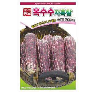 [아시아종묘]씨앗 옥수수 자흑찰 30g