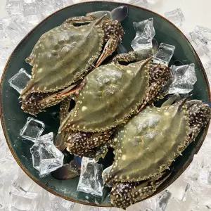 제철 활 꽃게 2kg 가을 봄 햇 숫꽃게 서해안 산지 속 꽉찬 꽃개 3kg