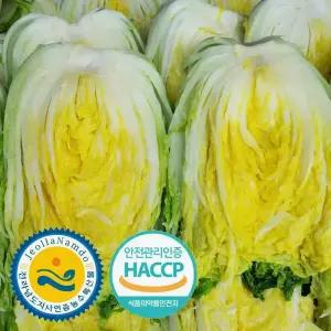 주문예약 해썹인증 전남도지사인증 해남 절임배추 20kg 국내산 천일염 7-10포기 절인 배추 김장 CNR