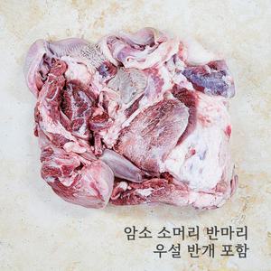 자미곱 한우 소머리 반마리 (우설 포함)