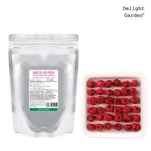 동결건조 레드커런트 200g