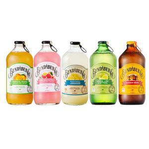 분다버그 5종 혼합 375ml 20병 (망고+핑크+레몬라임+레몬에이드+진저)