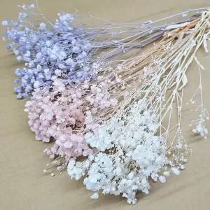 드라이플라워 프리저브드 파스텔 안개꽃