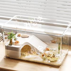 스마일크랩키우기 도둑게 사육장 도둑게키우기 소라게 해수염 크랩 스위치25W 1 기어