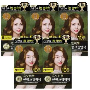 리엔 흑모비책 한방 크림 염색 120g 밝은갈색 5개