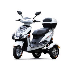 삼륜스쿠터 전동 바이크 접이식 수레 3발 골드 마실용 전동차ㅣ48V