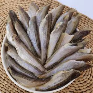 손질 도루묵 두절 반건조도루묵 500g 1kg