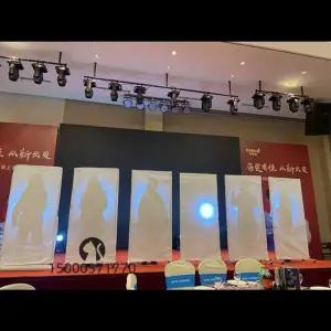 비밀커튼 히든싱어 실루엣 천막 무대 조명 그림자