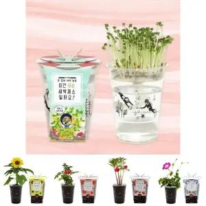 M한컵새싹농장_무순/씨앗 새싹 모종 화분 키우기 키트 컵 가든 관찰 학습 그로우 꽃 기르기 씨드 재배 생태