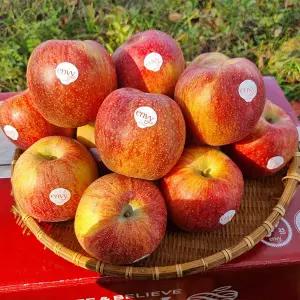 고당도 가정용 엔비사과 4kg 소과 (23과내외)