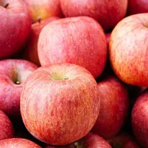 산지직송 경북 부사 빨간 사과 꿀당도 특대과 305g 이상 2kg