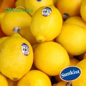 미국산 썬키스트 팬시 레몬 20과 (2개사면 5입 추가)