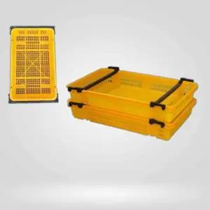 플라스틱 어 상자 블루베리 운반 농산물 바구니 어상자4호 5개 농산물상자 농산물박스