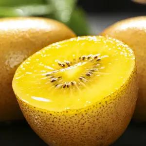 새콤달콤 제주 골드키위 5kg 특과(130-180g)