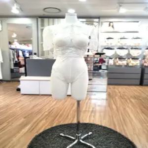 [에블린] 에블린  웨딩샹들리에_테디숏가운 EBFLE2411D