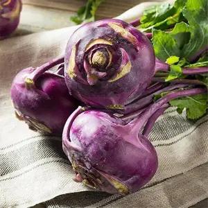 [자연맛남]아삭달콤 제주직송 콜라비 10kg (상품)