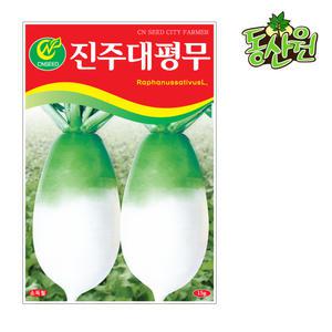진주대평무씨앗 15g 가을무 김장무 가을씨앗