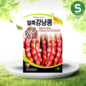 세계종묘 얼룩이강낭콩씨앗 30g 강낭콩 씨앗 콩씨