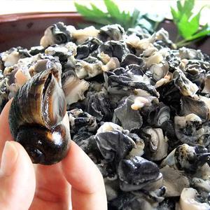 쫄깃쫄깃 신선한 국내산 왕 우렁이 1kg