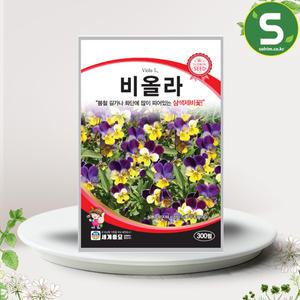 비올라씨앗 300립 삼색제비꽃 비올라 꽃씨앗