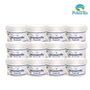 유로포멜라 냉동 모짜렐라 카우 치즈 100g x 12개