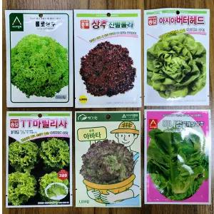 유럽상추 씨앗 6종 버터헤드 롤로상추 아바타 마릴리사 진빨롤라 미니컵로메인 (롤로로사)