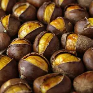 25년통관 햇 황금 약단밤 2kg 까기쉬운 칼집밤 군밤용