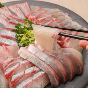 동해안 자연산 대방어회 방어회 300g 500g 필렛 혼술안주 원물 10kg 이상 손질