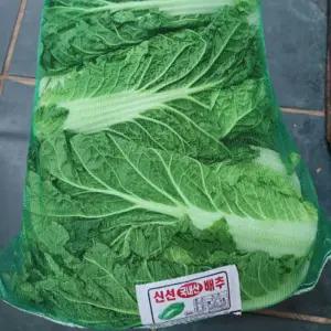 국내산 통배추 생배추 4-6kg (2-3포기)