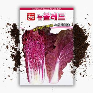 빨강 배추씨앗 뉴올레드 100립 배추씨앗 빨간 배추씨