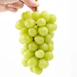 국내산 김천 가정용 샤인머스켓 4kg 6-7수