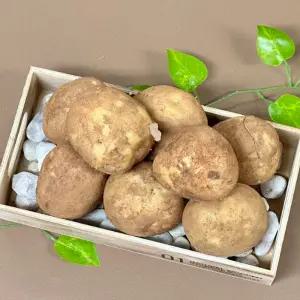 BNS 감자 상-대 사이즈 10kg 50-90g