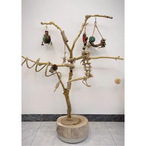 앵무새집 놀이터 버드 앵무새 포치 대형횟대 대형 원목 1 횟대 훈련장 5m 스텐