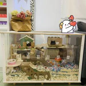 햄스터 아크릴 케이지 세트 풀 집 하우스