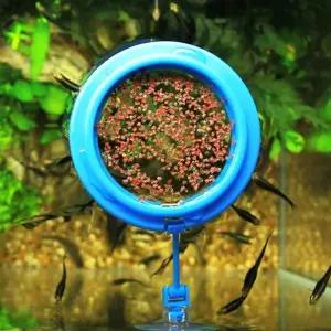 구피 거북이 피딩 컵 트레이 원형 사각형 물고기급여링 사료 먹이 어항