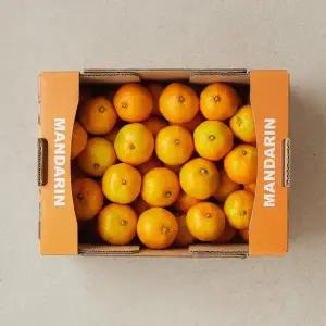 서귀포 감귤 3kg 박스