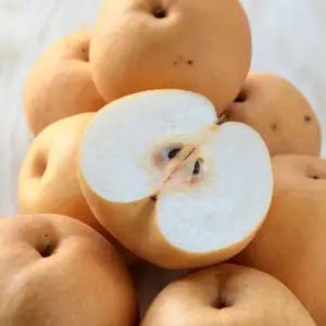 가정용 나주배 가격대비 만족도 최고 아삭달콤 과즙폭발