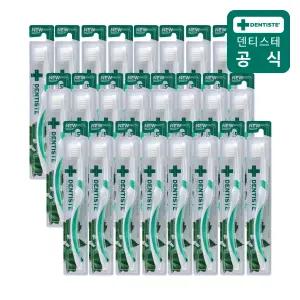 덴티스테 작은모 칫솔 24개(단일색상) 힘있는 미세모