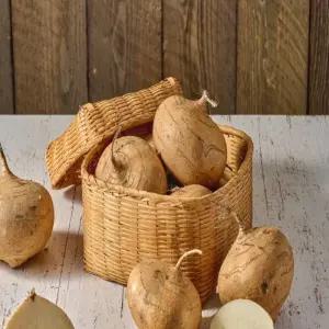 매장정품 달콤아삭 자연의 간식 생으로 먹어도 되는 히카마감자 10kg 85801