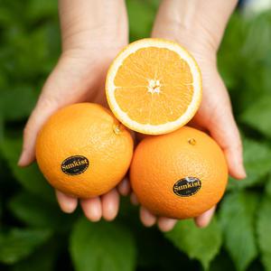 고당도 오렌지 2kg 중대과 크기