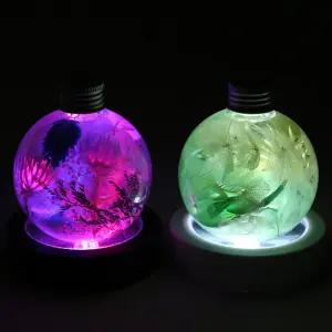 누름식 하바리움 LED 무드등 컵받침