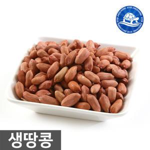 중국산 생땅콩 1kg /안주 간식 볶음 생 땅콩 햇 견과