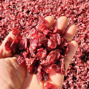 구례 산동마을 무농약 친환경 건산수유 / 햇산수유 1kg