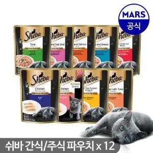 고양이 간식/주식 파우치 70g x12개