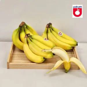 [익스프레쉬]고당도 바나나 13kg (6-9수) 대용량 벌크