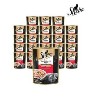 쉬바 파우치 고양이간식 습식사료 참치와 치킨 70G 24개