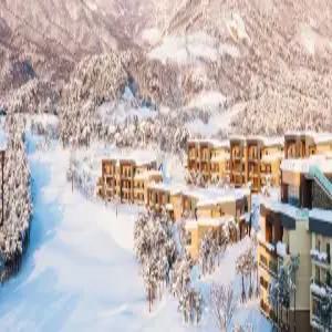 [강원] 소노펠리체 빌리지 델피노(강원호텔/고성호텔/고성소노펠리체 빌리지 델피노)