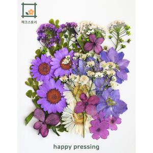 체크스토리 컬러믹스 압화종합팩 17종 레진공예 예단편지