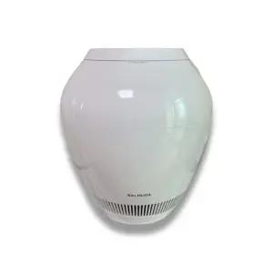 발뮤다 가습기 ERN-1100SD Z